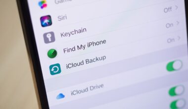 A whole criminal supply chain exists because Apple made iPhones too hard to steal