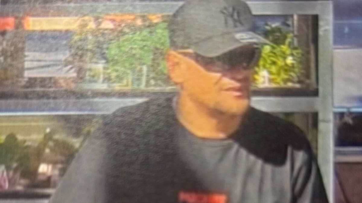 Creedence Brell and partner’s $5000 shoplifting spree nets groceries, sex toy