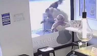 Whangārei man helps police with arrest after rugby tackle on fleeing suspect