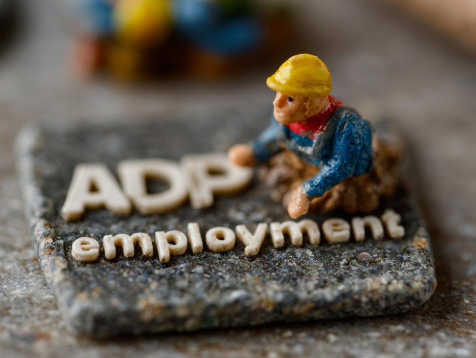 ADP NER Pulse showed a gain of 33K in the current week.