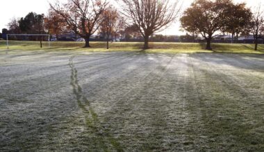 Weather: MetService warns of ‘cold and crispy’ weekend as May temperatures drop