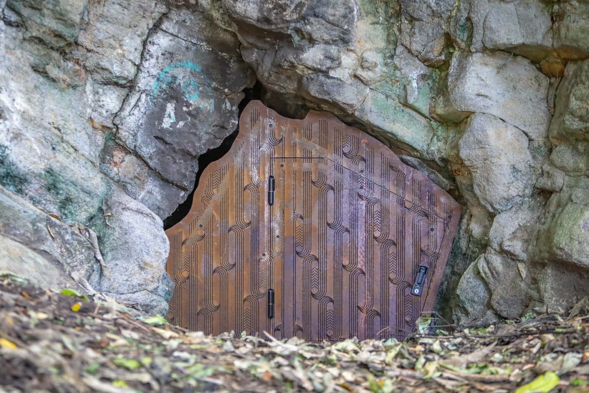 The Hopukiore caves were once used for burials and are regarded as a sacred place. Photo / Kelly O’Hara