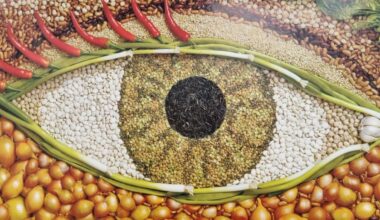 Experts warn malnutrition causing Kiwi children to go blind