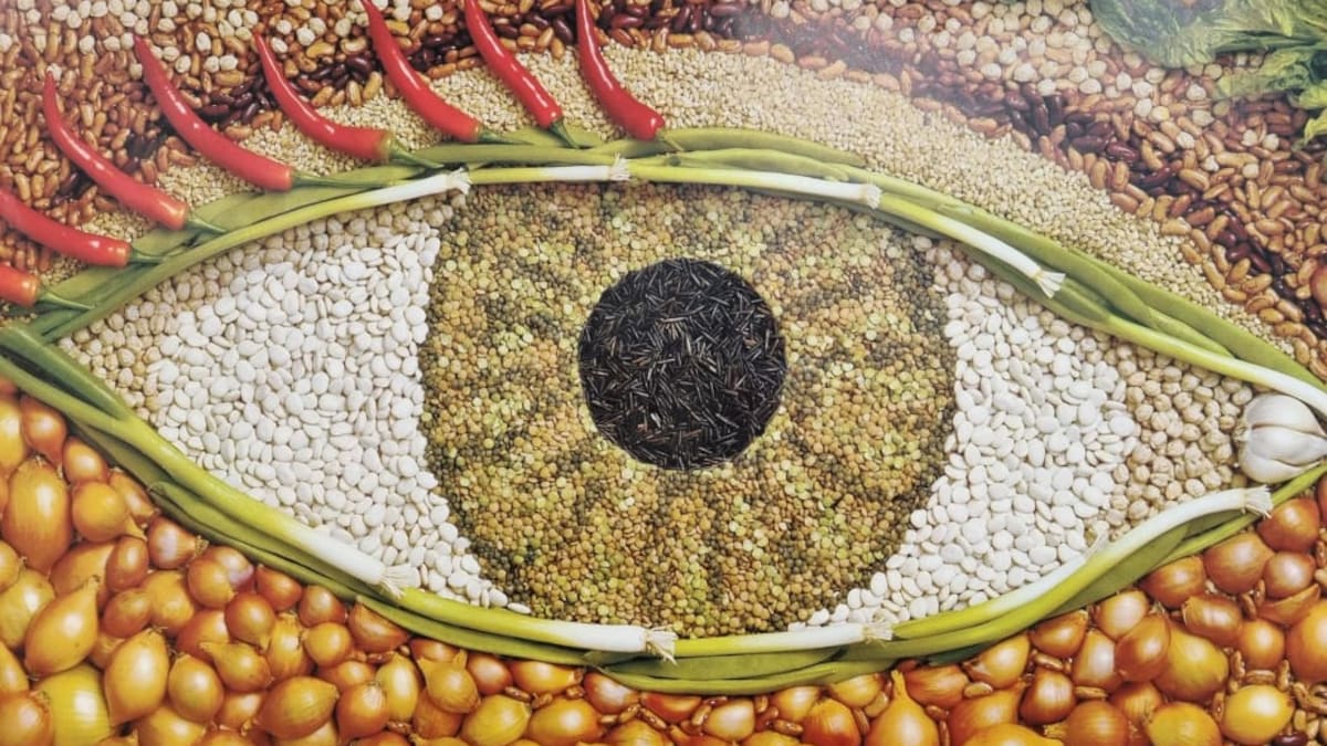 Experts warn malnutrition causing Kiwi children to go blind