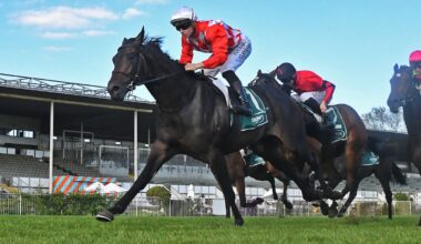 Promising colt Excite lands betting plunge in Te Rapa juvenile feature