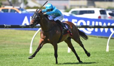 Kiwi galloper Sweynesday could crown golden week for owner Eric Koh after stunning sale