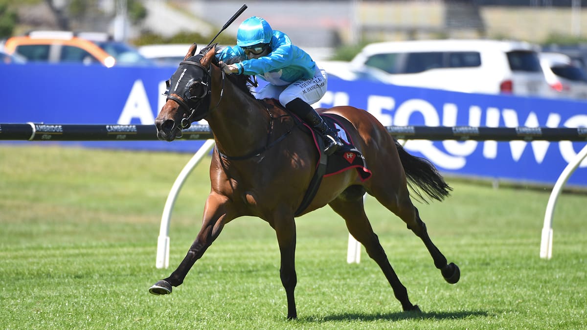 Kiwi galloper Sweynesday could crown golden week for owner Eric Koh after stunning sale