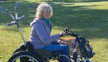 Paraplegic woman ‘upset and distressed’ after Triride wheelchair stolen from Red Beach, Auckland