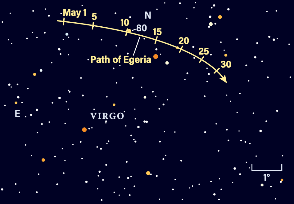 Path of asteroid Egeria in May 2026
