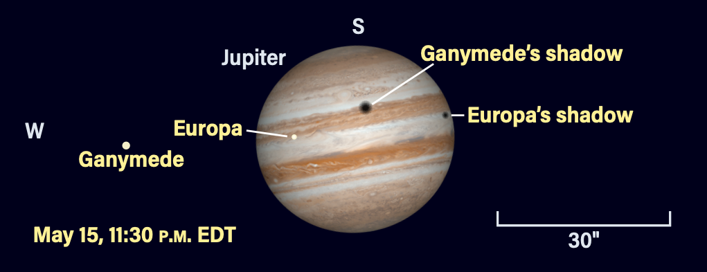 Jupiter and moons on May 15, 2026, at 11:30 P.M. EDT