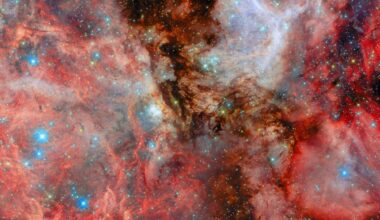 The Name N159 Doesn't Do This Brilliant Star-Forming Region Justice