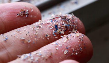 Microplastics may contribute to global warming