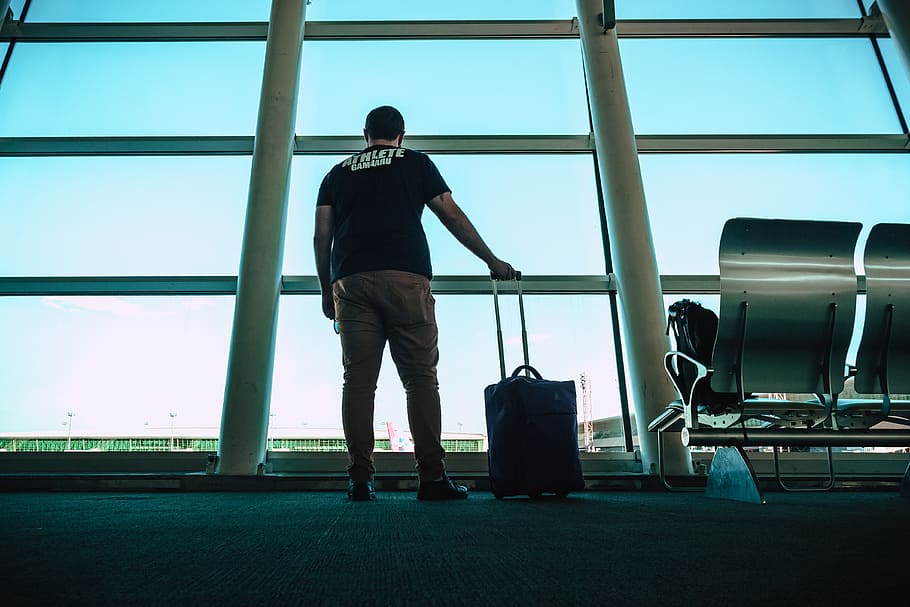 Net migration growth on the rise