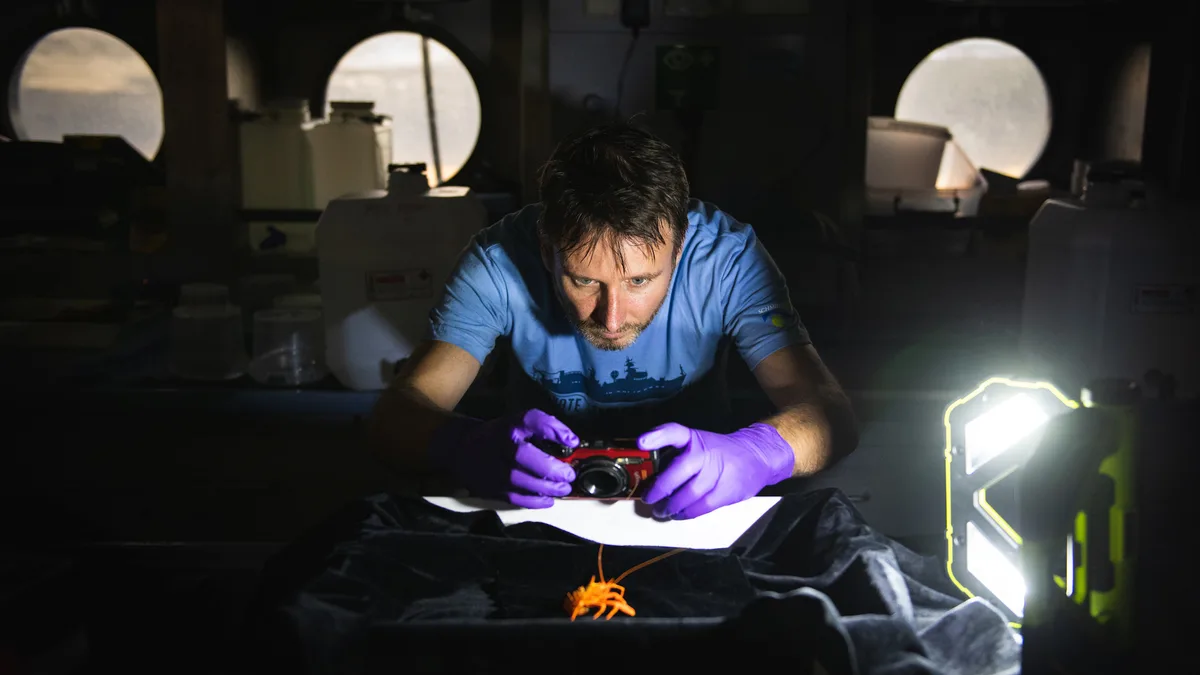 Andrew Hosie (Curator, Western Australian Museum)
