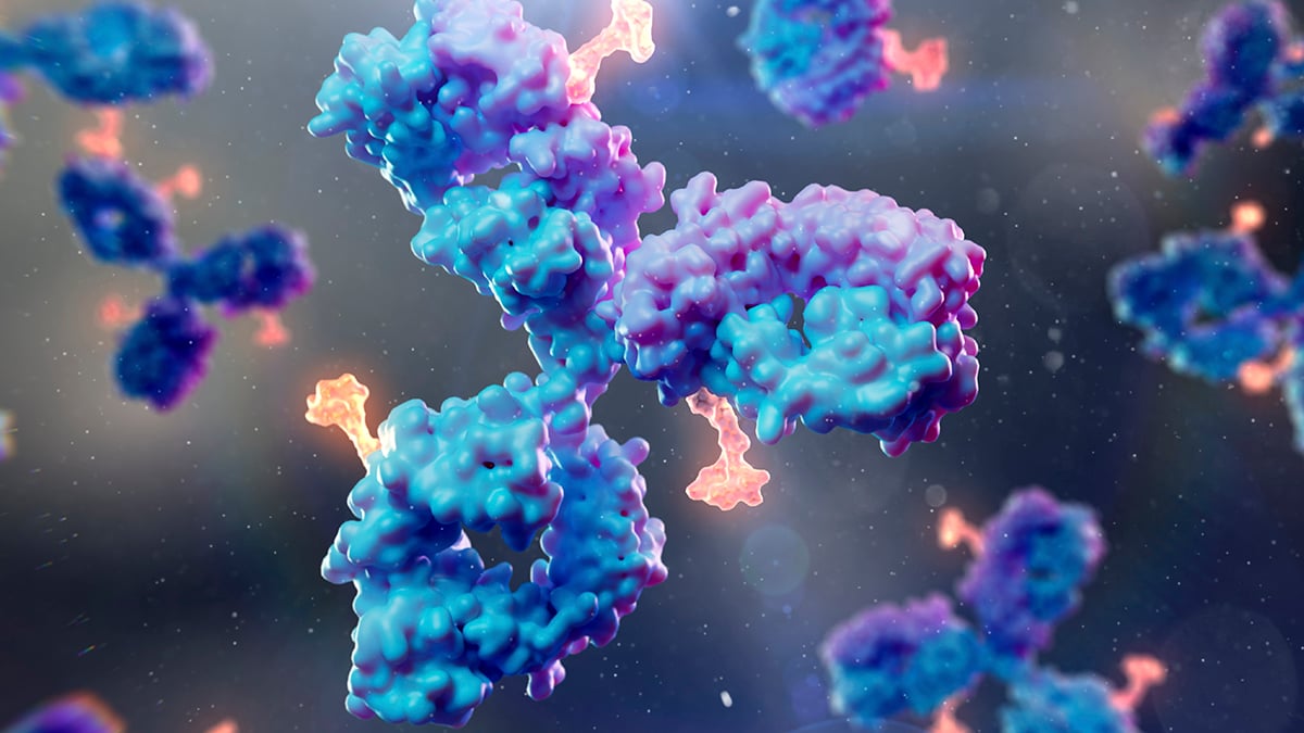 Scientists Develop New Antibody For Virus That Infects 95% of People : ScienceAlert