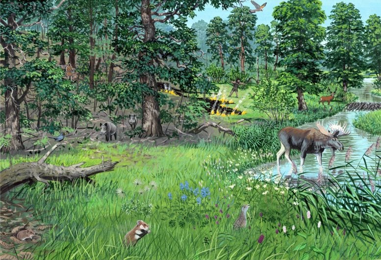 Artist Reconstruction of Early Holocene Landscape