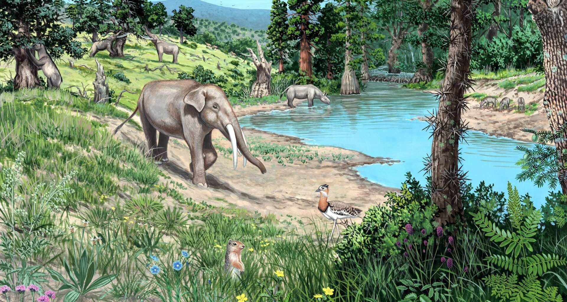 Europe Was Never a Giant Dark Forest, New 20-Million-Year Study Reveals
