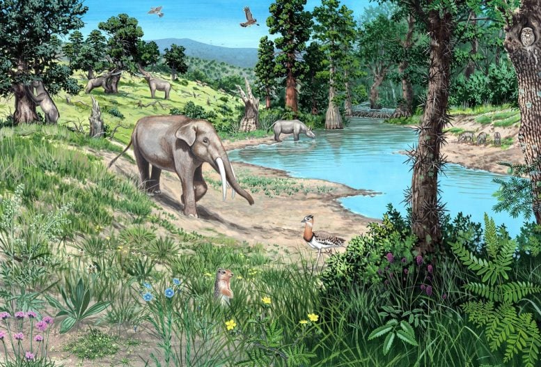 Artist Reconstruction of Miocene Woodland Landscape
