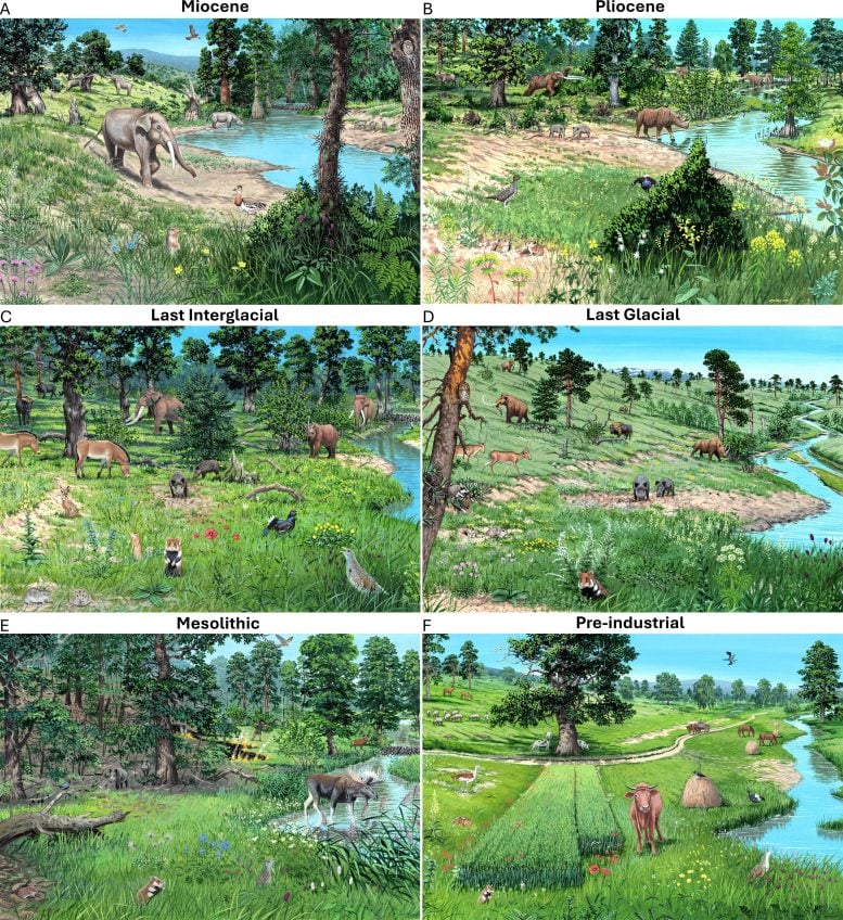 Artistic Palaeo Reconstructions of Ecosystem States in Central Europe Over the Last 23 Million Years