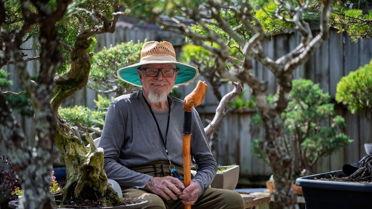 Weightlifting, crystals and green tea: How ‘Bonsaiville’ came to Auckland’s Sandringham