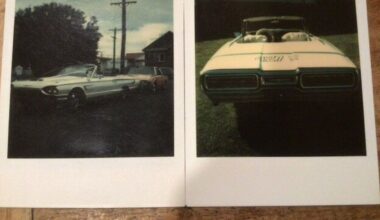 Gisborne family’s beloved classic 1965 convertible Thunderbird stolen from garage