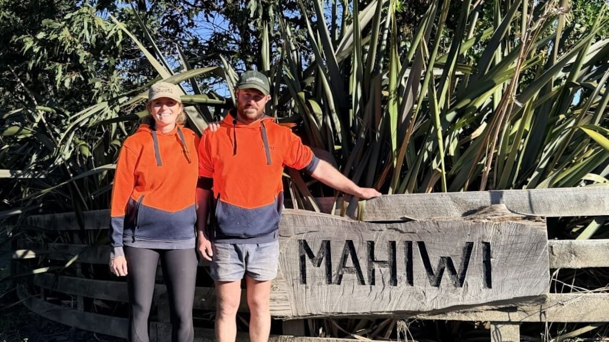 Pāmu selects Wairoa farmers as equity partners at Mahiwi sheep and beef farm