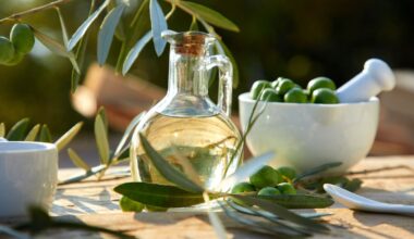 Olives New Zealand remains positive as local producer shuts down after more than two decades