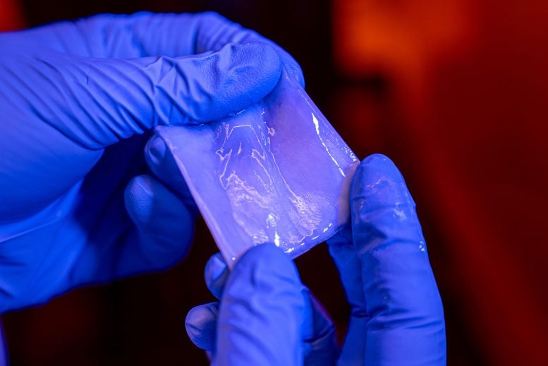 Bacterial Cellulose Material