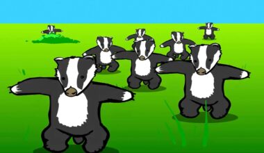 Cartoon illustration of several black and white badgers standing upright with their arms out, spread across a bright green field under a blue sky.