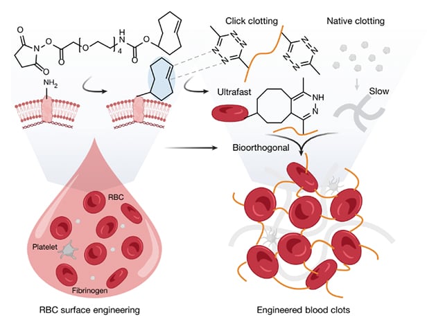 Blood clot diagram