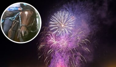 Fireworks ban: Select committee backs end to public sales and use