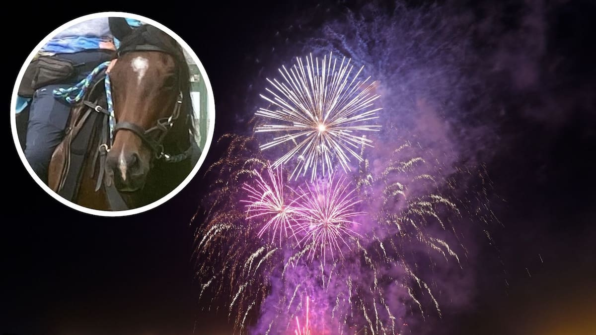 Fireworks ban: Select committee backs end to public sales and use