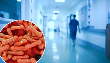 Diphtheria outbreak in Australia: How at risk is New Zealand?