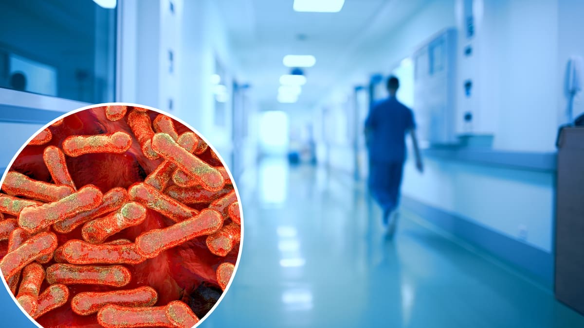 Diphtheria outbreak in Australia: How at risk is New Zealand?