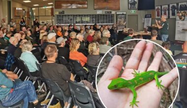Kiwi Coast reports million-pest milestone as native species return