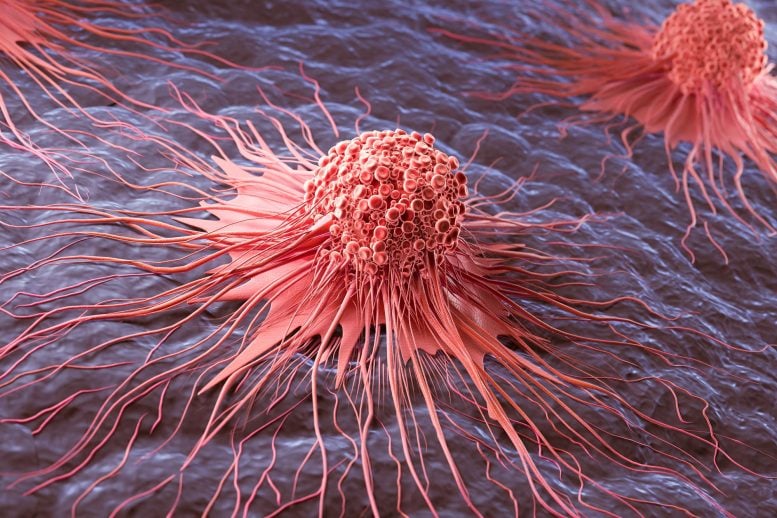 Cancer Cell Spread Abnormal Growth