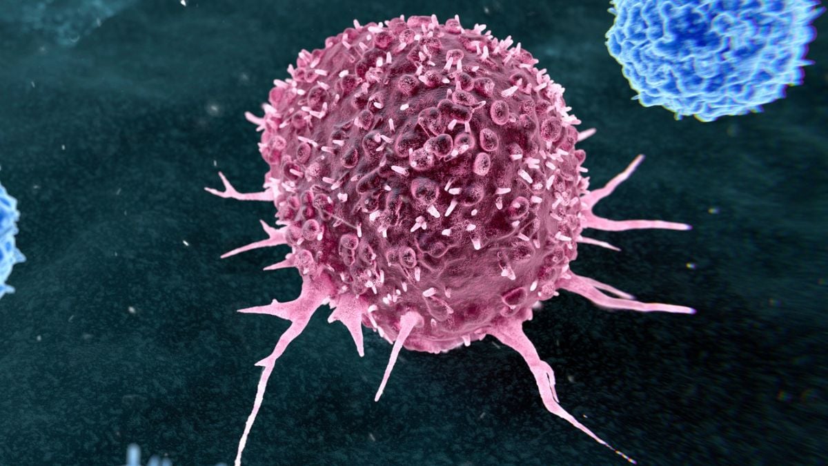 Almost 50% of Preventable Cancers Linked to Just Two Lifestyle Habits : ScienceAlert