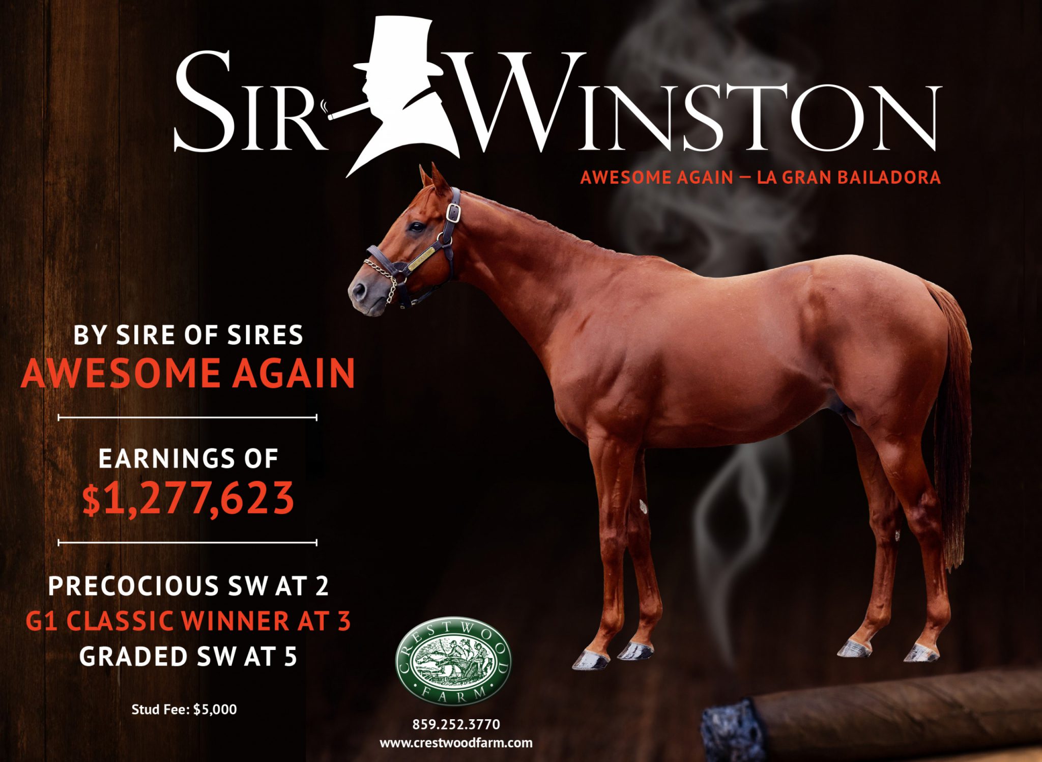Crestwood Farm (Sir Winston) – 5-23-26