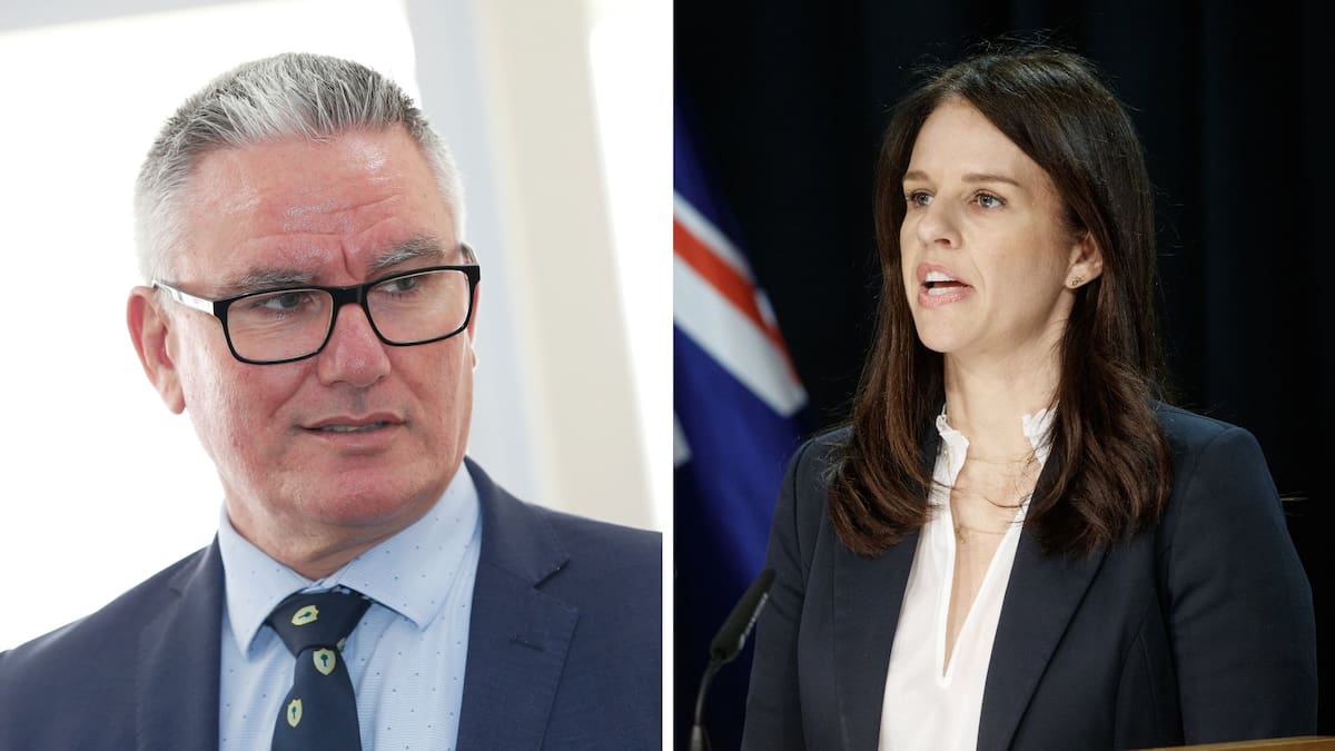 Former Labour deputy Kelvin Davis joins Erica Stanford’s Māori advisory education group