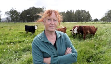 Northland expressway: Waipu families fear losing multigenerational farms
