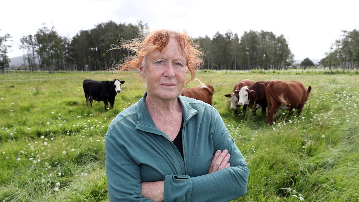 Northland expressway: Waipu families fear losing multigenerational farms