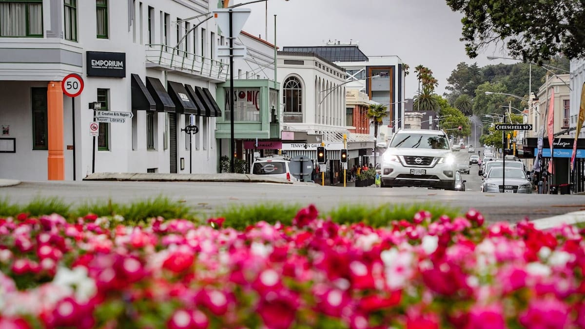 ‘It’s appalling’: Napier shop owners hit out at proposed CCTV charge