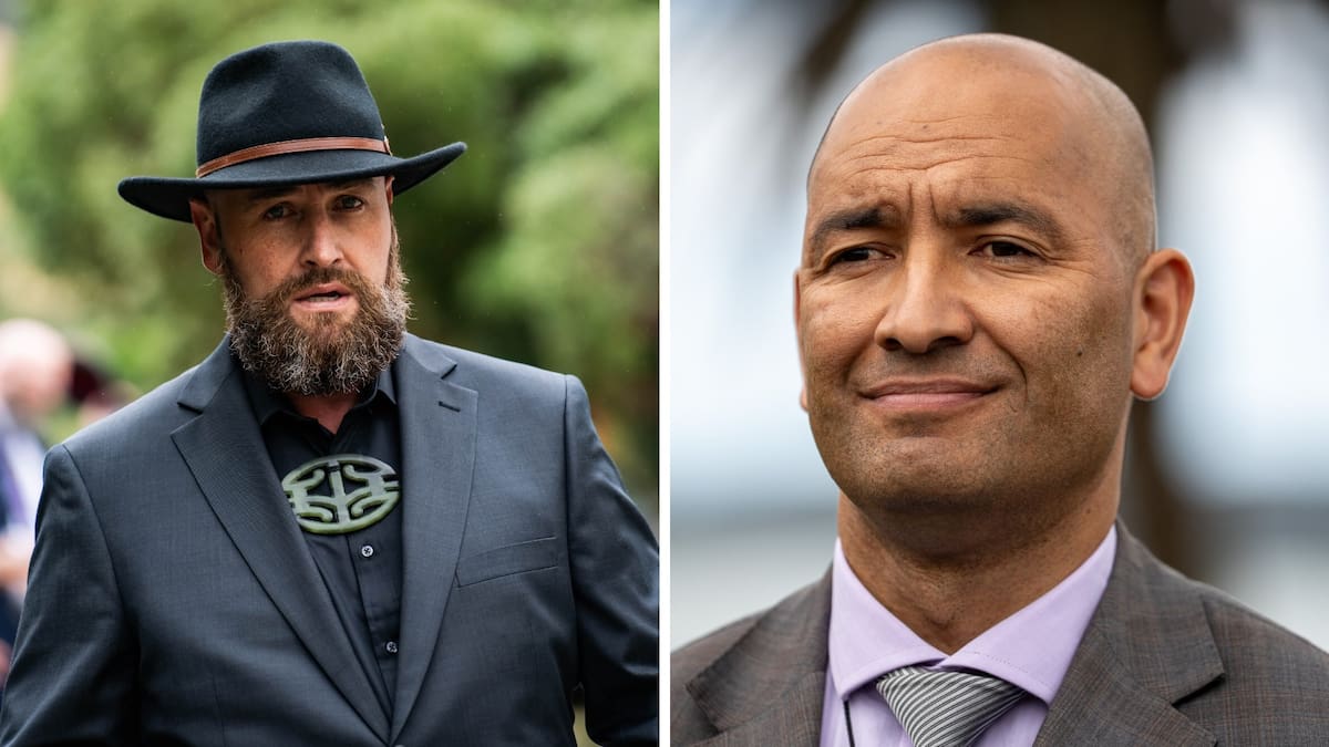 Ngāi Tahu preparing to renegotiate parts of Treaty settlement amid major conservation law reforms