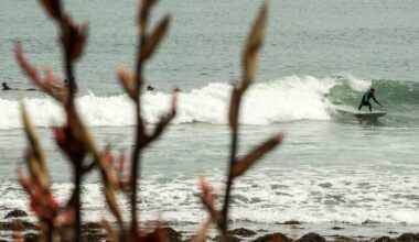 Raglan: World Surf League NZ Pro Competition hits Manu Bay as crowds and surfers arrive