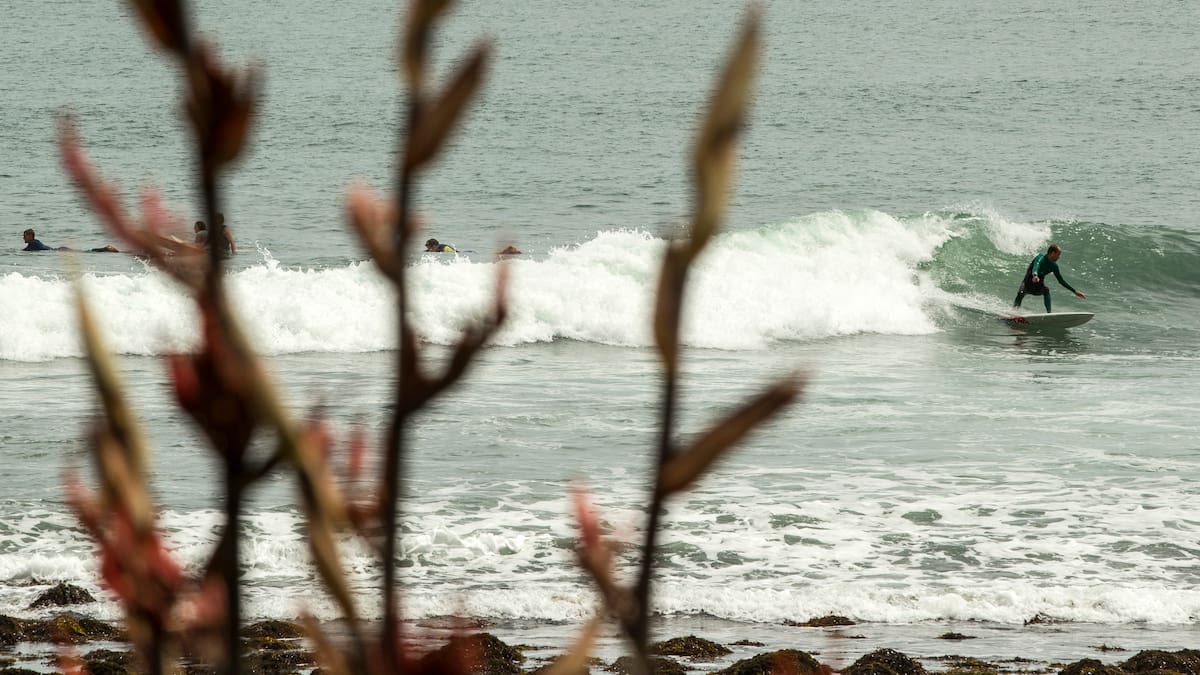 Raglan: World Surf League NZ Pro Competition hits Manu Bay as crowds and surfers arrive