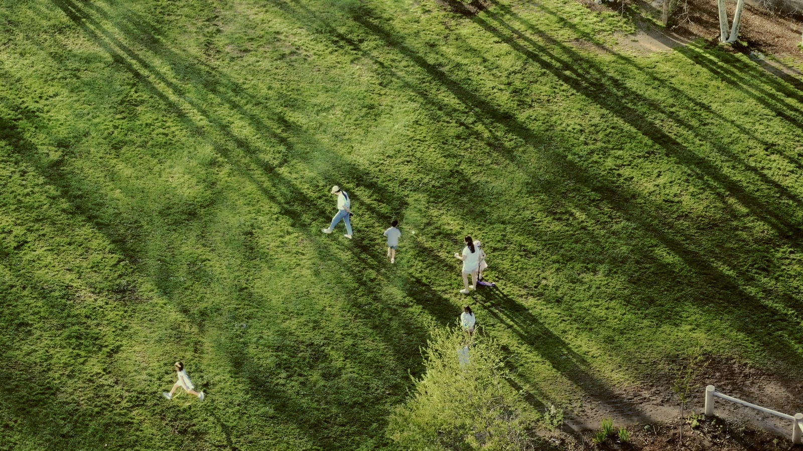 Aerial view of five people walking on a grassy field with long tree shadows stretching across the ground on a sunny day.
