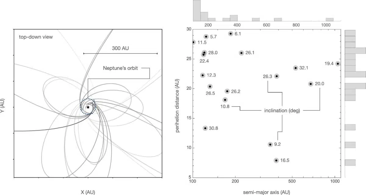 Distant Object Orbits Beyond Neptune Show Non Random Clustering.