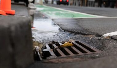Wellington residents facing lower water bills after Tiaki Wai backs down