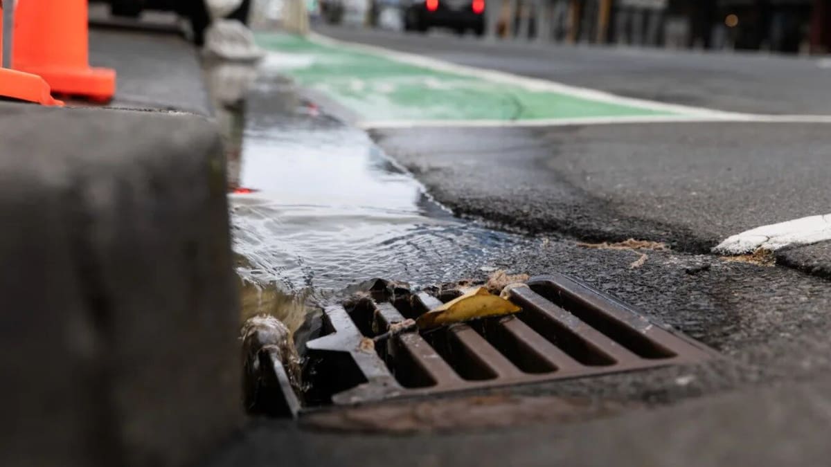 Wellington residents facing lower water bills after Tiaki Wai backs down