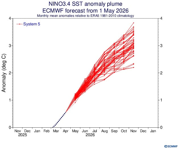 Ecmwf Nino Plumes